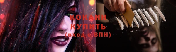 дживик Беломорск