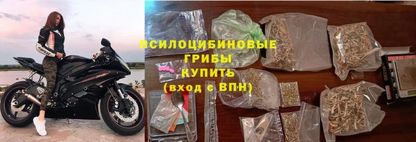 шишки Верея