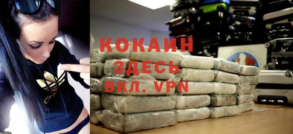 шишки Верея