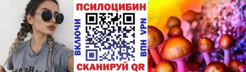 Галлюциногенные грибы Psilocybe  Верхотурье 